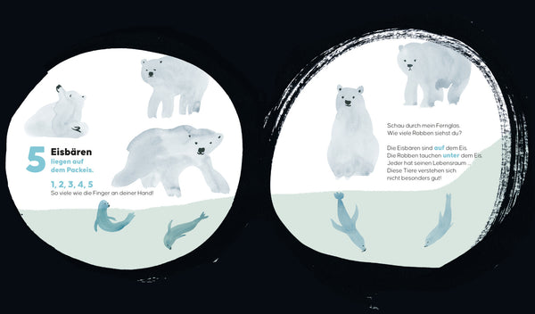 Zähle alle Tiere - Bild 2