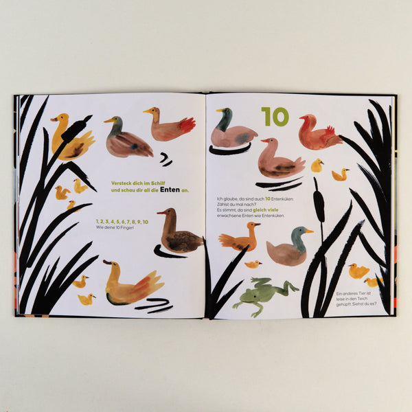 Zähle alle Tiere - Bild 5