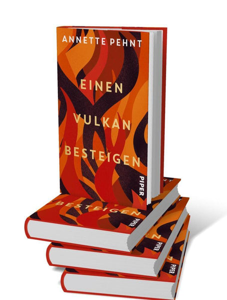 Einen Vulkan besteigen - Bild 5