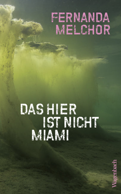 Das hier ist nicht Miami - Bild 1