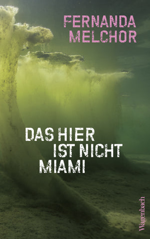 Das hier ist nicht Miami - Bild 1