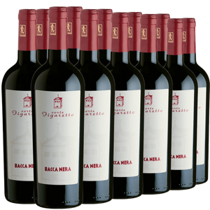 Weinentdeckung August: 2021 Bacca Nera Vino Rosso