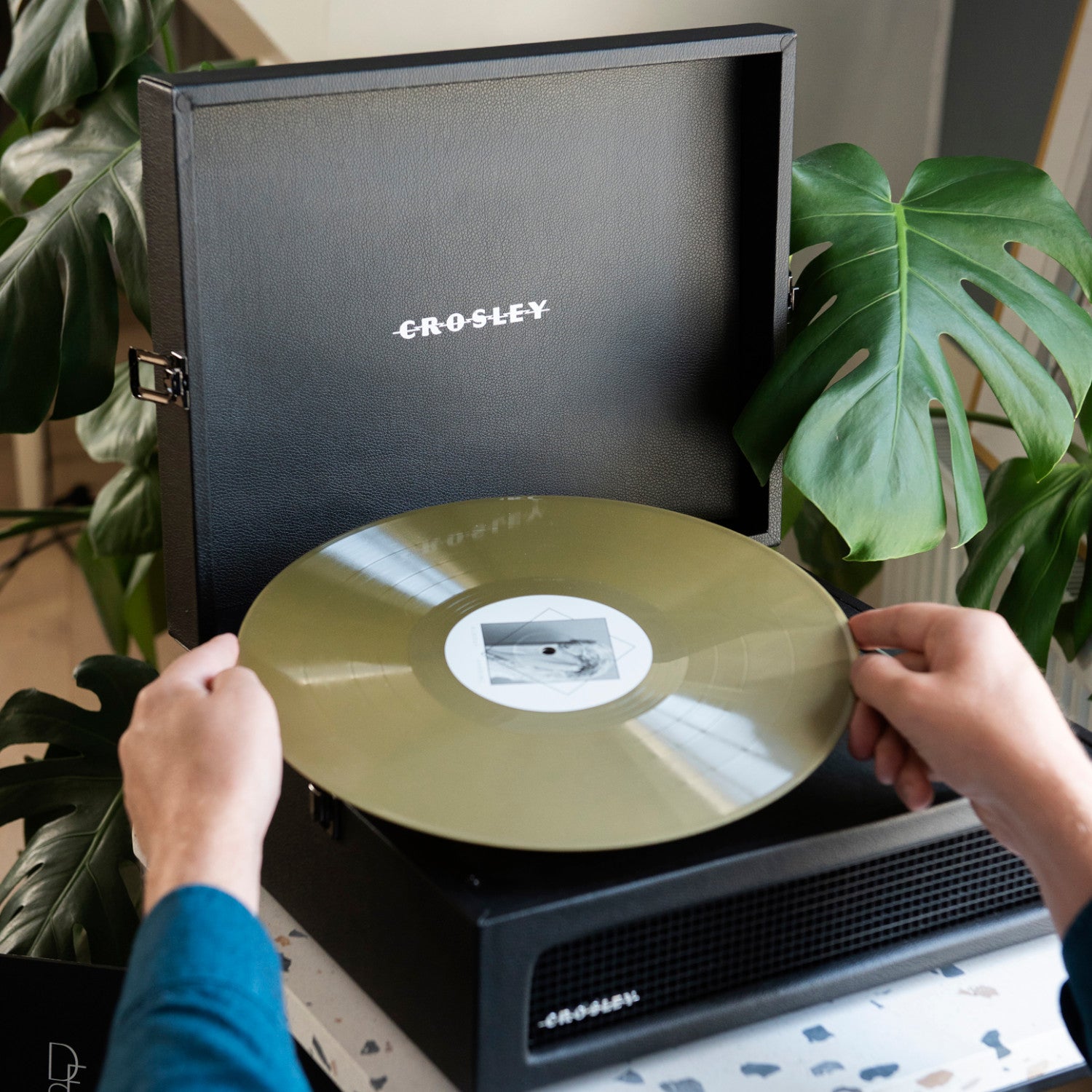 Eine Person legt eine goldene Schallplatte auf einen Crosley-Plattenspieler in der Nähe von grünen Monstera-Pflanzenblättern.