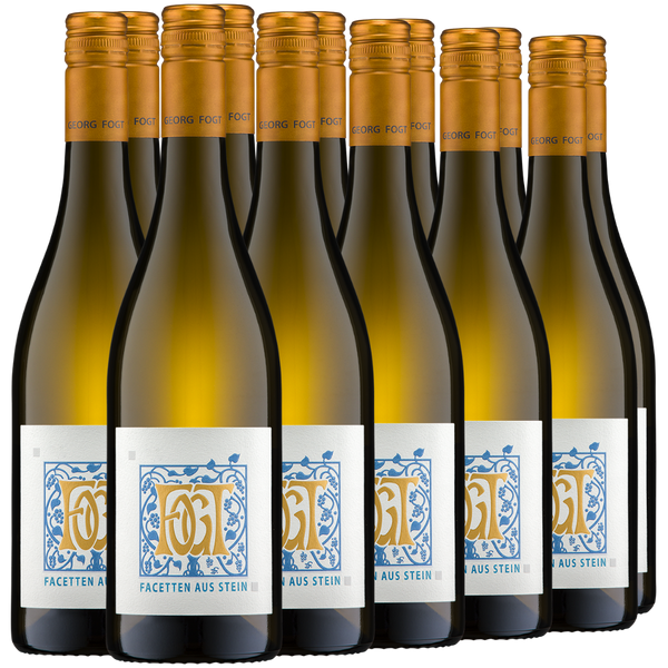 Zwölf  Weißweinflaschen mit goldenen Verschlüssen, die in einer Reihe vor einem weißen Hintergrund angeordnet sind.