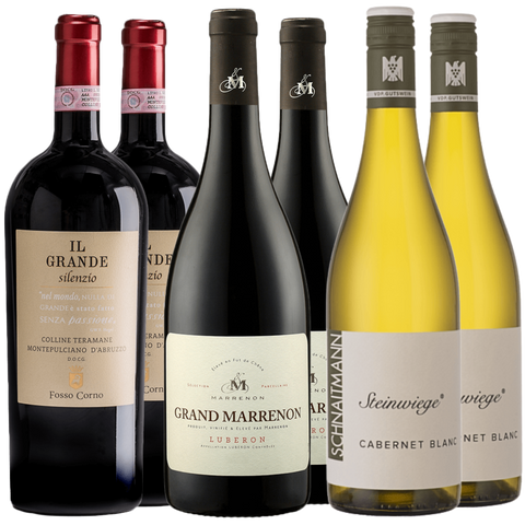 Sechs Flaschen Wein, darunter rote und weiße Sorten, mit sichtbaren Etiketten in zwei Reihen angeordnet.