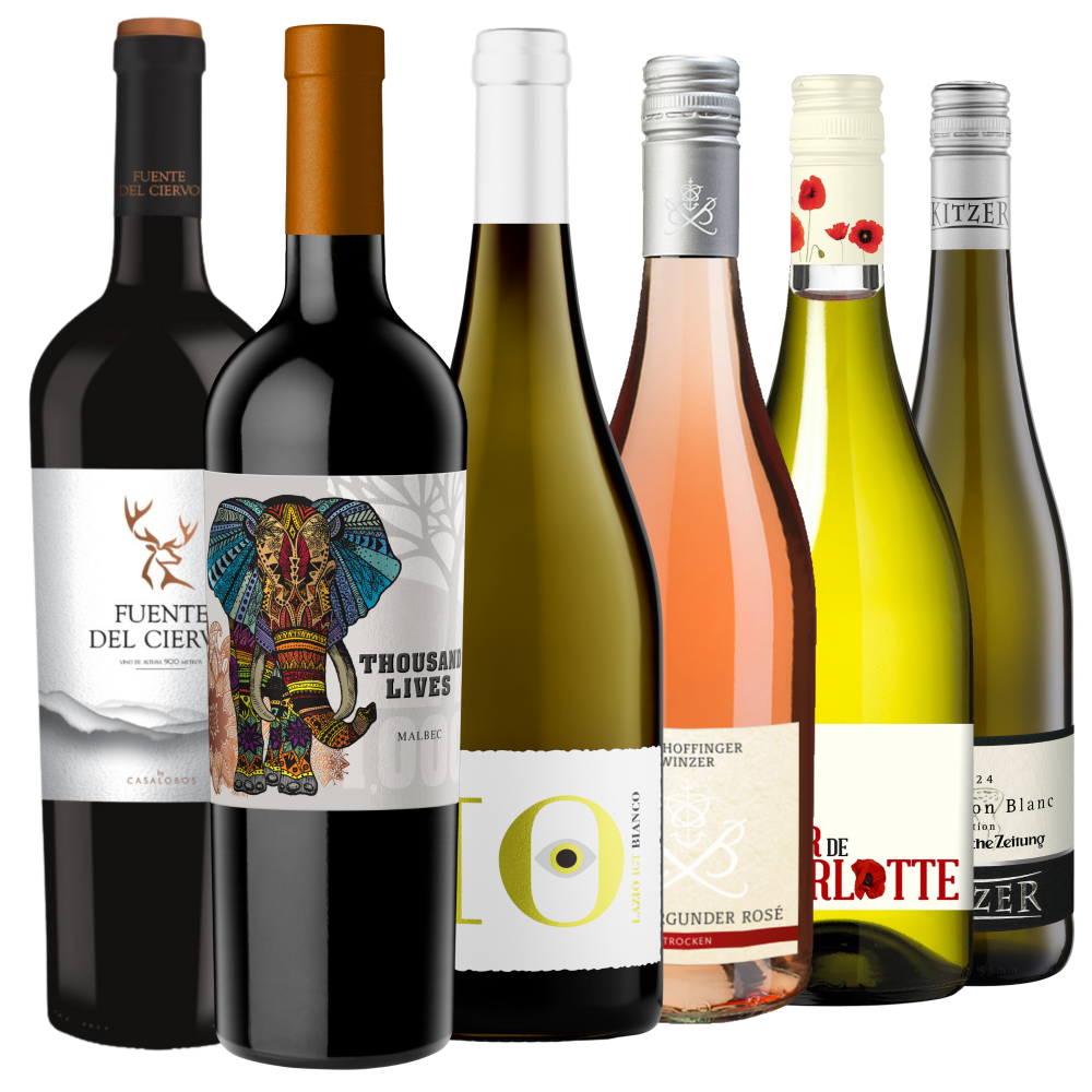 Sechs verschiedene Weinflaschen sind in einer Reihe angeordnet, mit unterschiedlichen Etiketten, Farben und Weinsorten, darunter Rot-, Weiß- und Roséweine.