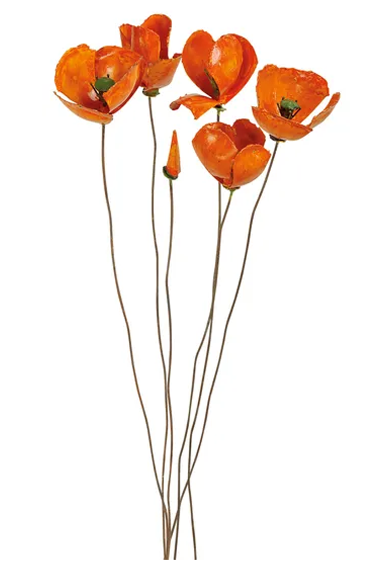 Fünf orangefarbene Mohnblüten mit langen, schlanken Stielen vor weißem Hintergrund.