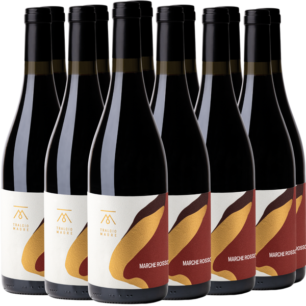 Zwölf Rotweinflaschen mit modernen, abstrakten Etiketten, die in zwei Reihen auf einem weißen Hintergrund angeordnet sind.