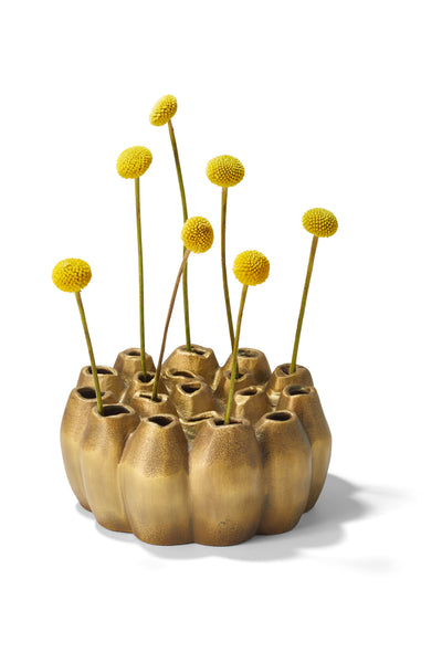 Eine goldene, runde Vase enthält mehrere gelbe Billyball-Blüten auf langen grünen Stielen vor einem weißen Hintergrund.