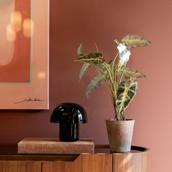 Eine Topfpflanze, eine schwarze Lampe und ein Buch auf einem Holzschrank vor einer rosa Wand mit gerahmter Kunst.