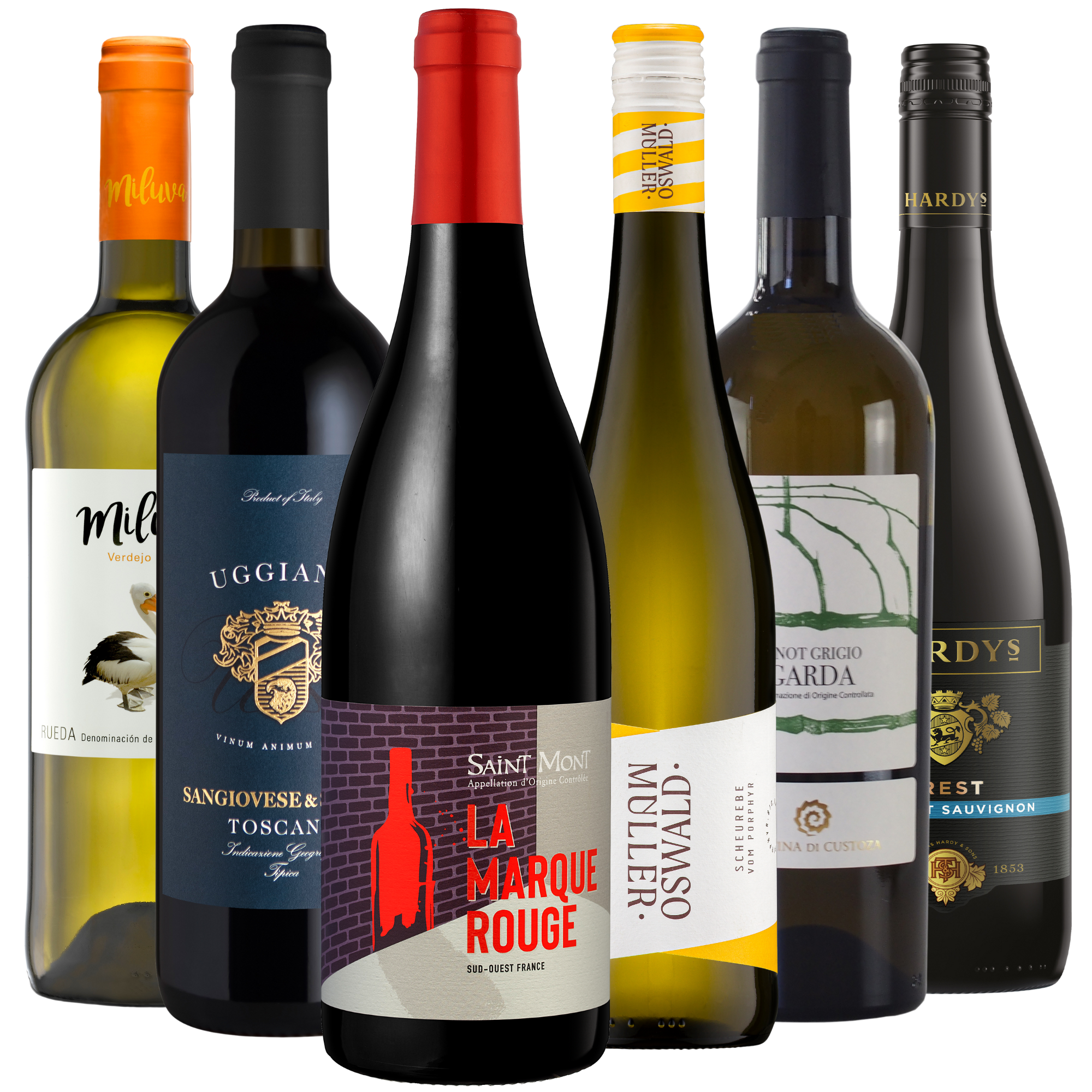 Sechs verschiedene Flaschen Weiß- und Rotwein stehen aufrecht in einer engen Reihe vor einem weißen Hintergrund.