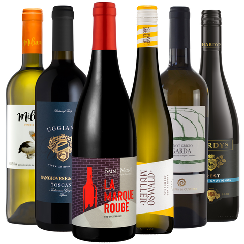 Sechs verschiedene Flaschen Weiß- und Rotwein stehen aufrecht in einer engen Reihe vor einem weißen Hintergrund.