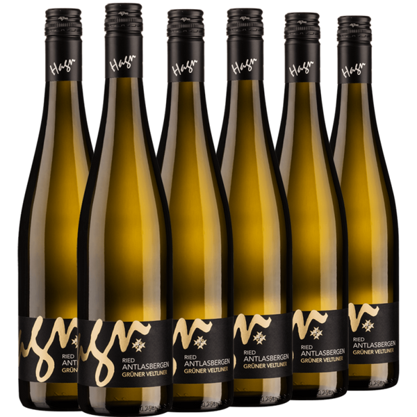 Sechs Flaschen Hagn Grüner Veltliner Weißwein stehen in einer Reihe auf weißem Grund.