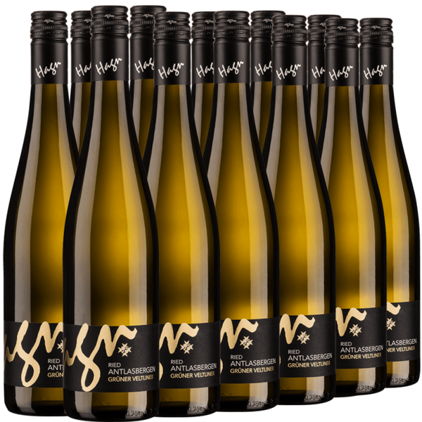Zwölf Flaschen Weißwein mit der Aufschrift "Ried Antlasbergen Grüner Veltliner" in drei Reihen angeordnet.