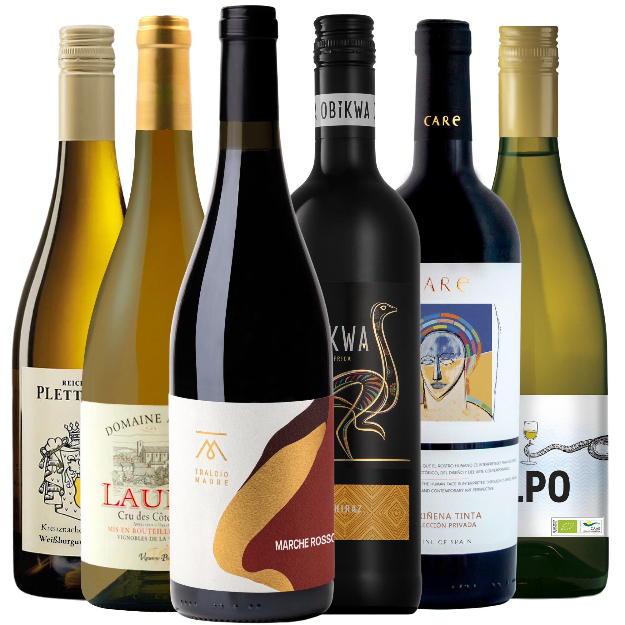 Sechs verschiedene Weinflaschen mit unterschiedlichen Etiketten und Farben, die nebeneinander auf einem weißen Hintergrund angeordnet sind.