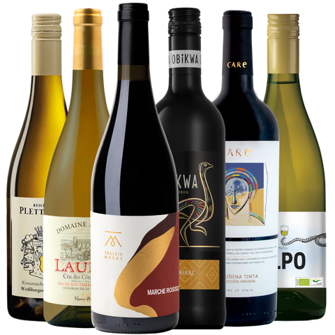 Sechs verschiedene Weinflaschen mit unterschiedlichen Etiketten und Farben, die nebeneinander auf einem weißen Hintergrund angeordnet sind.