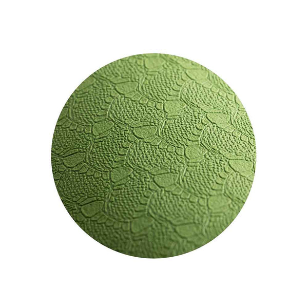 Eine grüne kreisförmige Oberfläche mit einem erhabenen, strukturierten Blattmuster auf weißem Hintergrund.