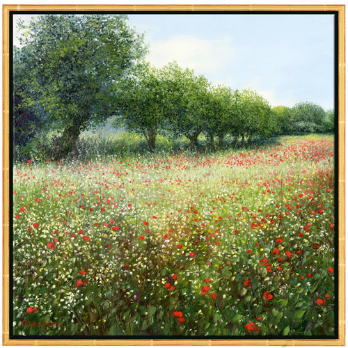 Ein Feld mit Wildblumen mit roten und weißen Blüten, gesäumt von einer Reihe grüner Bäume unter einem blauen Himmel.