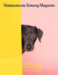 Ein schwarzer Hund lugt hinter einer gelben Wand vor einem rosa Hintergrund hervor.