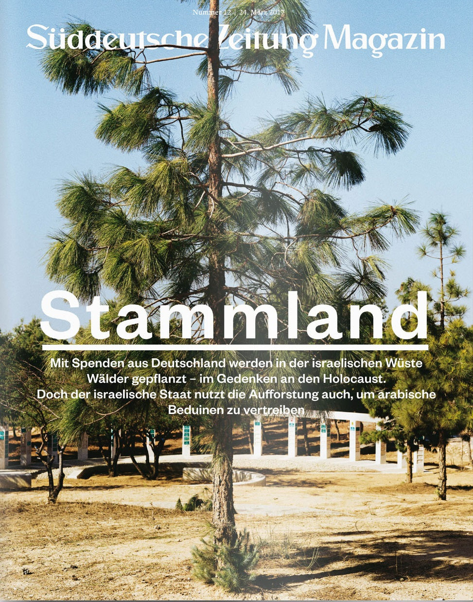 Eine Kiefer steht in einer trockenen Landschaft mit anderen Bäumen, abgebildet auf dem Titelbild des Süddeutsche Zeitung Magazins.