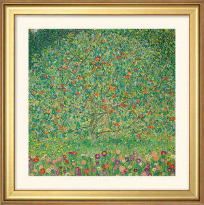 Gustav Klimt: Bild "Apfelbaum I" (1912), gerahmt