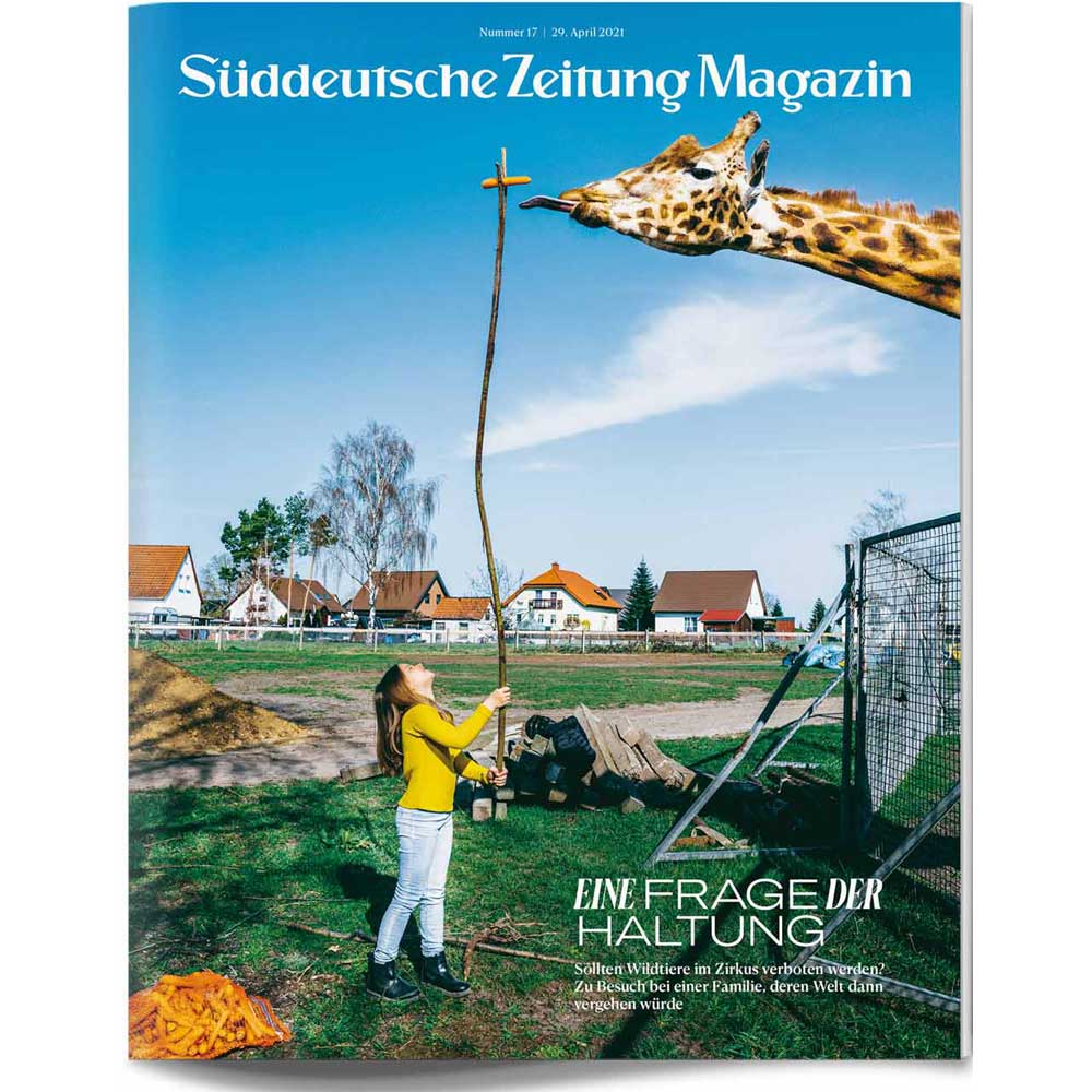 Ein Kind füttert eine Giraffe mit einem langen Stock in einer ländlichen Gegend, mit Häusern und Bäumen im Hintergrund.