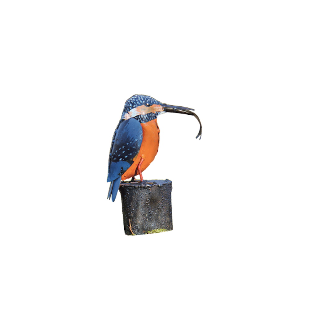 Ein farbenfroher Eisvogel mit blauen und orangefarbenen Federn hält einen kleinen Fisch im Schnabel und sitzt auf einem Baumstumpf.