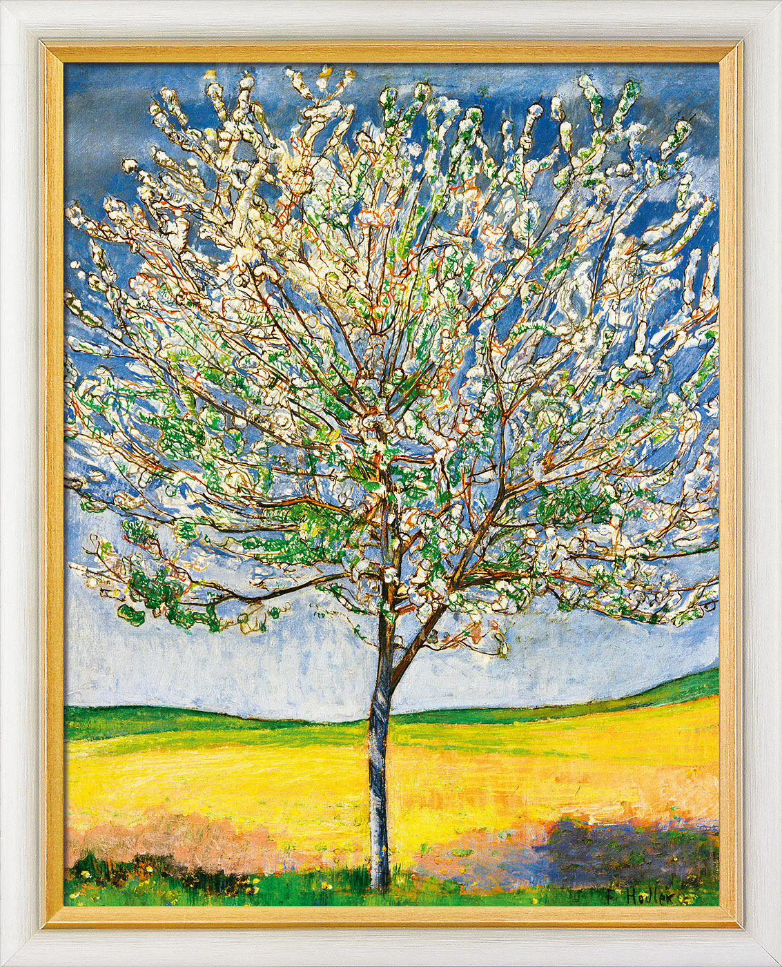 Ferdinand Hodler: Bild &quot;Blühender Kirschbaum&quot; (1905) - Bild 1