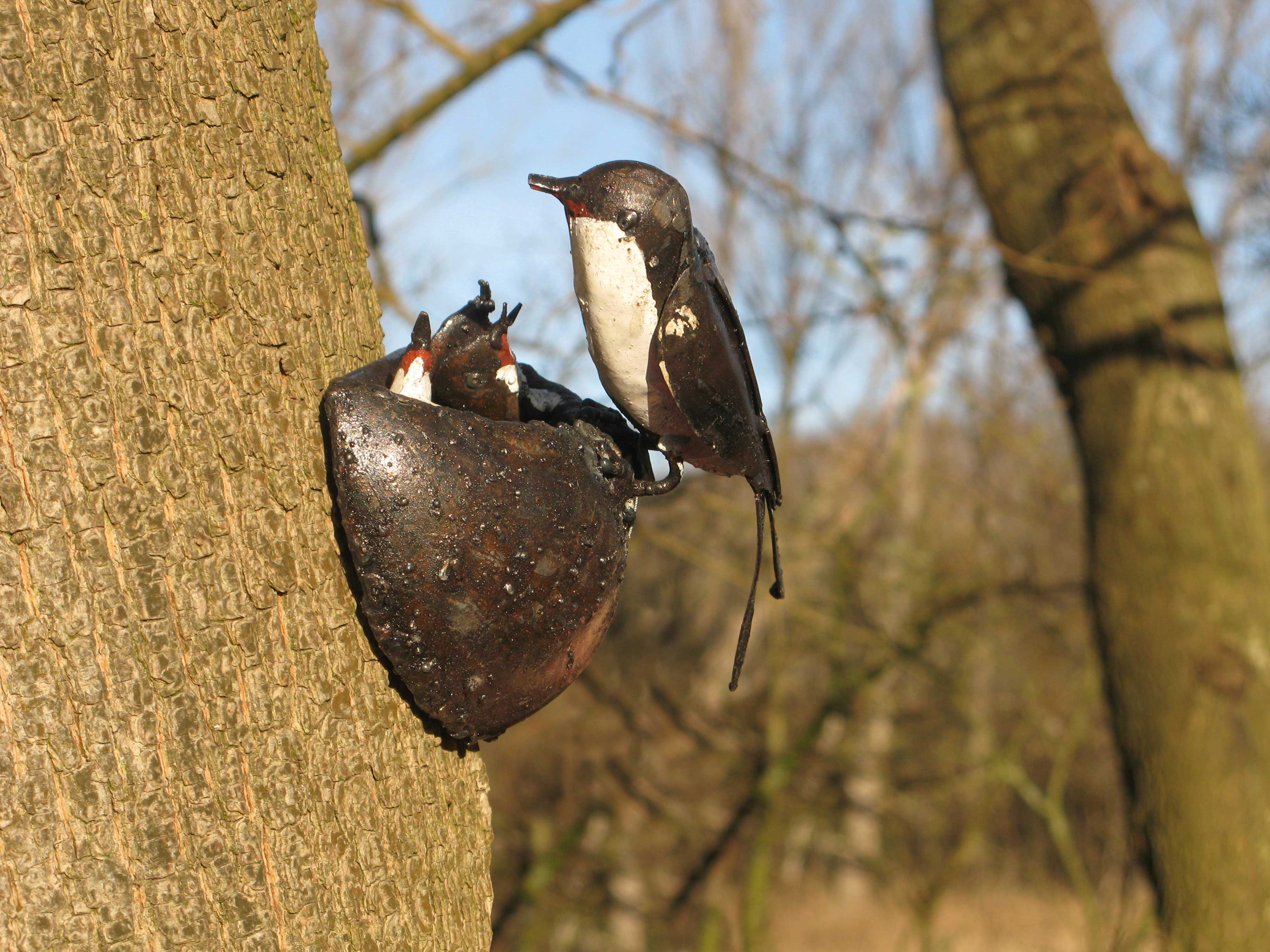 Ein Vogel füttert seine Küken in einem Nest, das an einem Baumstamm befestigt und von kahlen Ästen umgeben ist.