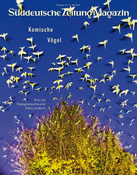 Die Titelseite des Süddeutsche Zeitung Magazins zeigt einen Vogelschwarm, der über gelben Bäumen vor einem blauen Himmel fliegt.