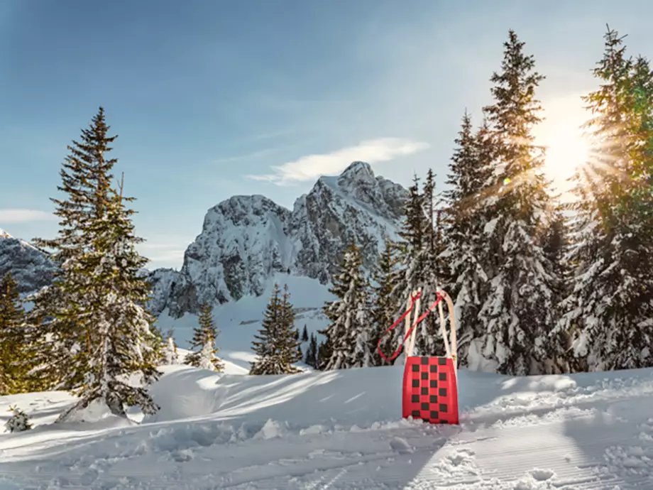 Winter_Rodeln_AMERON Neuschwanstein Alpsee Resort & Spa_Fotograf Michael Helmer_920x690px